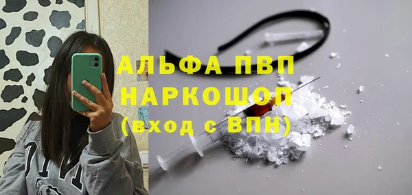 молекула духа Саяногорск