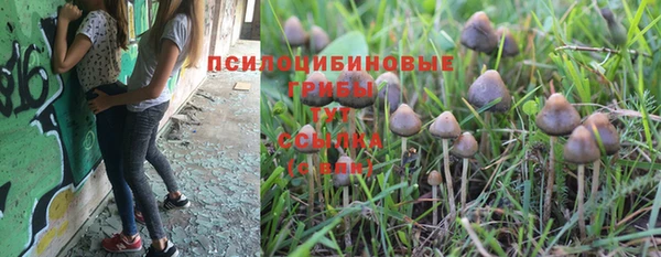ALPHA-PVP Сафоново