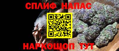 МДПВ Канаш